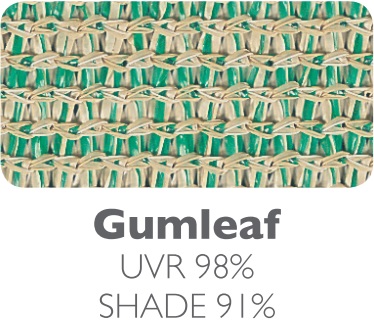 Gumleaf
