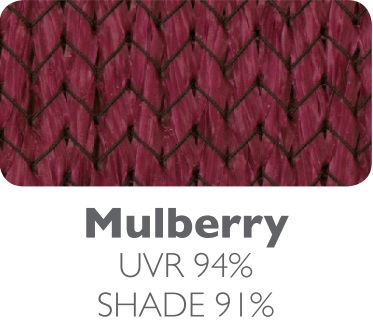 Mulberry