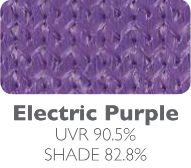 Electric Purple