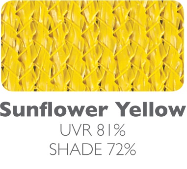 Sunflower Yellow